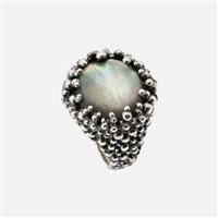 Anello Giovanni Raspini Donna in Argento 10319/12 - 10319/12